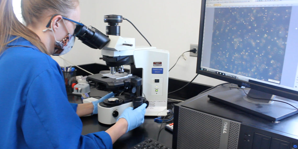 DEQ Employee looking into microscope