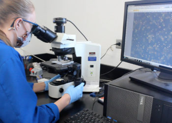 DEQ Employee looking into microscope