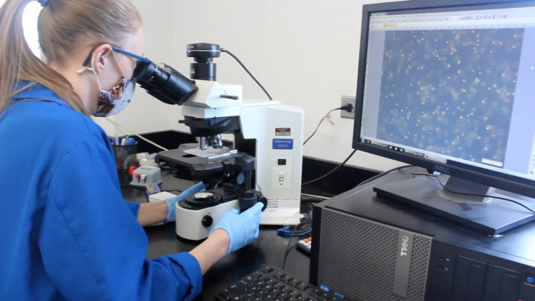 DEQ Employee looking into microscope