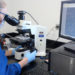 DEQ Employee looking into microscope