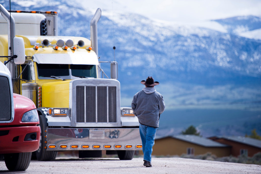 Heavy & Tractor-Trailer Truck Drivers at My Next Move