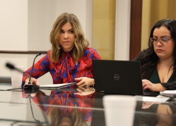 Rep. Suzanne Schreiber (left) presented HB 4147 during the Appropriations and Budget Finance - Revenue and Taxation Subcommittee meeting.