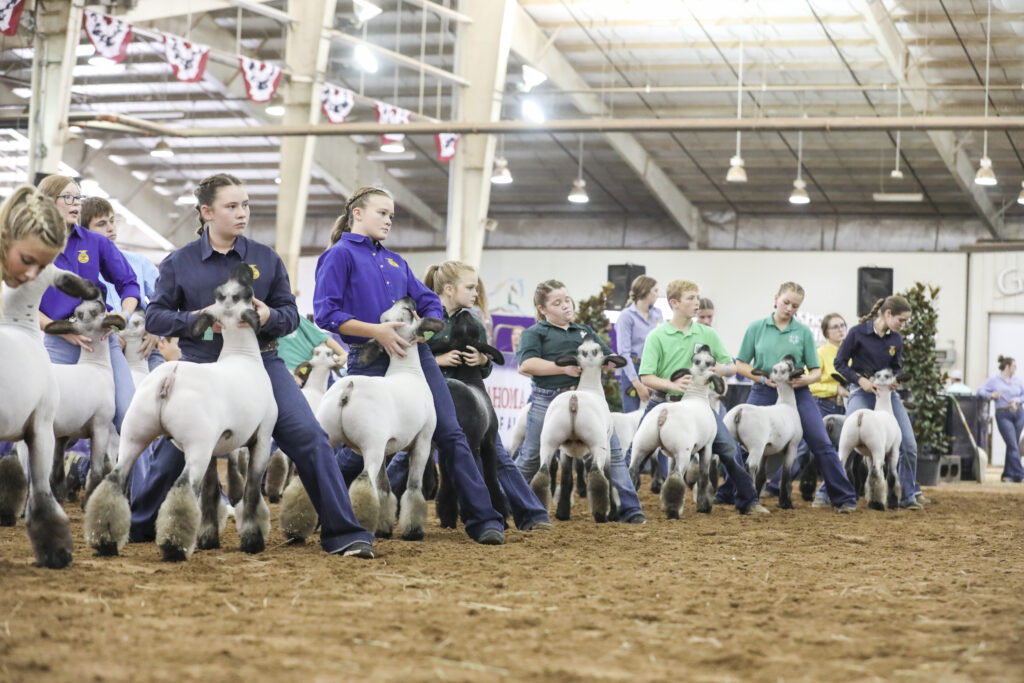 Photo from Oklahoma State Fair