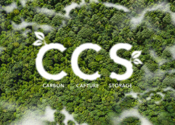 CCS concept, net zero operations concept Save energy green energy Reduce carbon dioxide emissions Sustainable energy. Carbon neutrality and net zero emissions. Top view of green trees