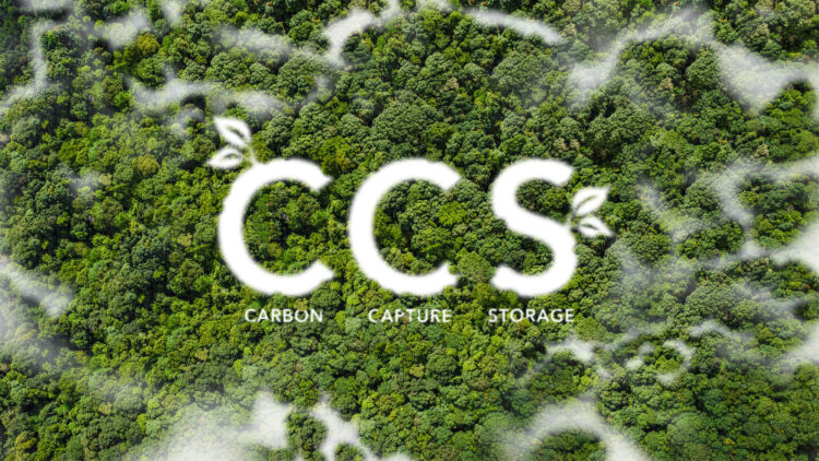 CCS concept, net zero operations concept Save energy green energy Reduce carbon dioxide emissions Sustainable energy. Carbon neutrality and net zero emissions. Top view of green trees