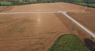 Two Oklahoma Tribes Recognized by Harvard’s Honoring Nations Awards