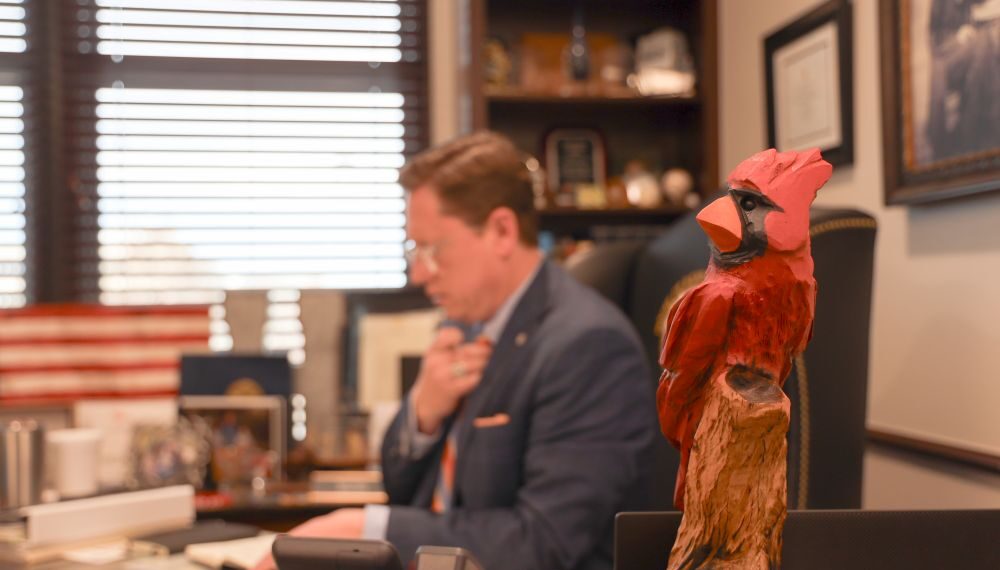 The cardinal and the credential