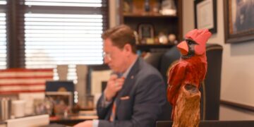 The cardinal and the credential