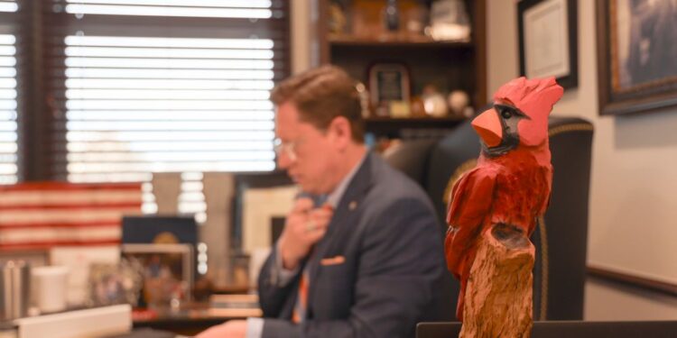 The cardinal and the credential