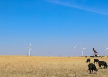 Renewables deliver stability for Oklahoma growers, rural communities