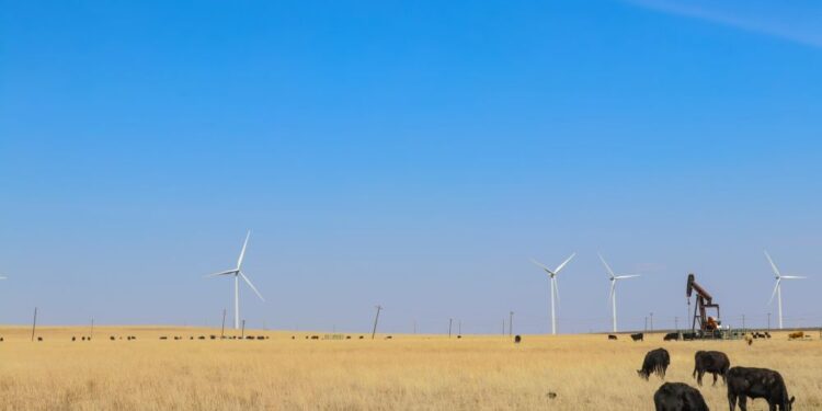 Renewables deliver stability for Oklahoma growers, rural communities