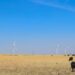 Renewables deliver stability for Oklahoma growers, rural communities