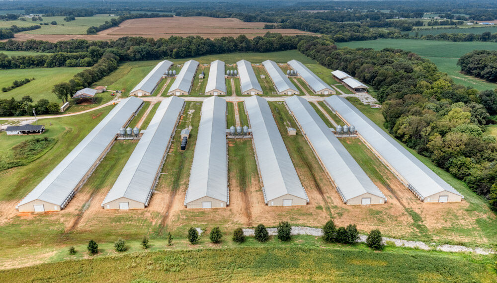 Oklahoma reaches nearly $44 million settlement in poultry litter pollution lawsuit