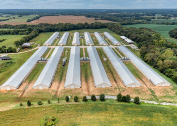 Oklahoma reaches nearly $44 million settlement in poultry litter pollution lawsuit