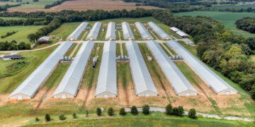 Oklahoma reaches nearly $44 million settlement in poultry litter pollution lawsuit