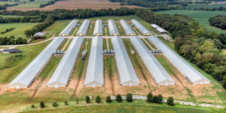 Oklahoma reaches nearly $44 million settlement in poultry litter pollution lawsuit