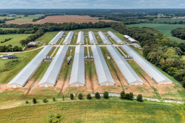 Aerial view of Poultry houses and farm.